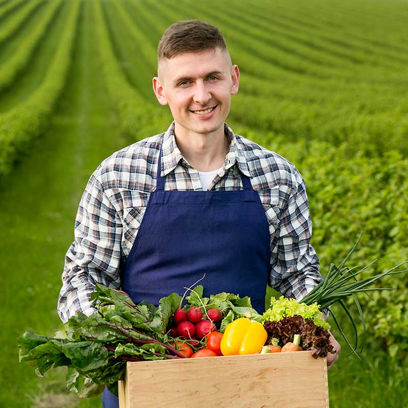 Punjab%20Cattle%20Farm
