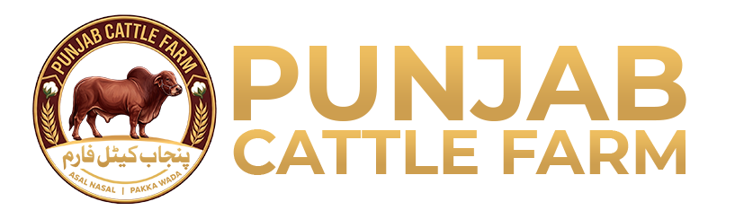 Punjab Cattle Farm