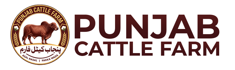 Punjab Cattle Farm
